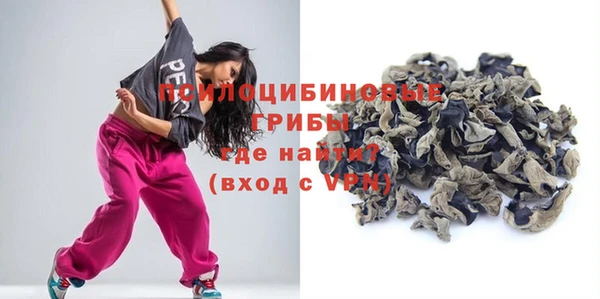 гидропоника Абаза