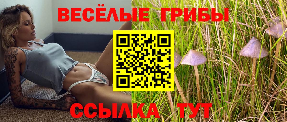 Псилоцибиновые грибы Cubensis  Вход с VPN  Россошь  Псилоцибиновые грибы Magic Shrooms 