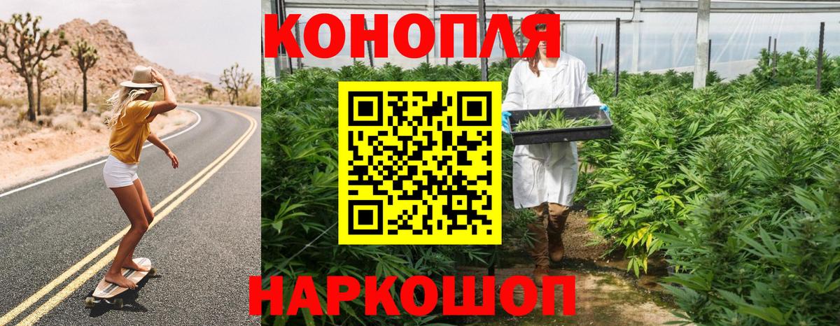 Бошки Шишки планчик Россошь